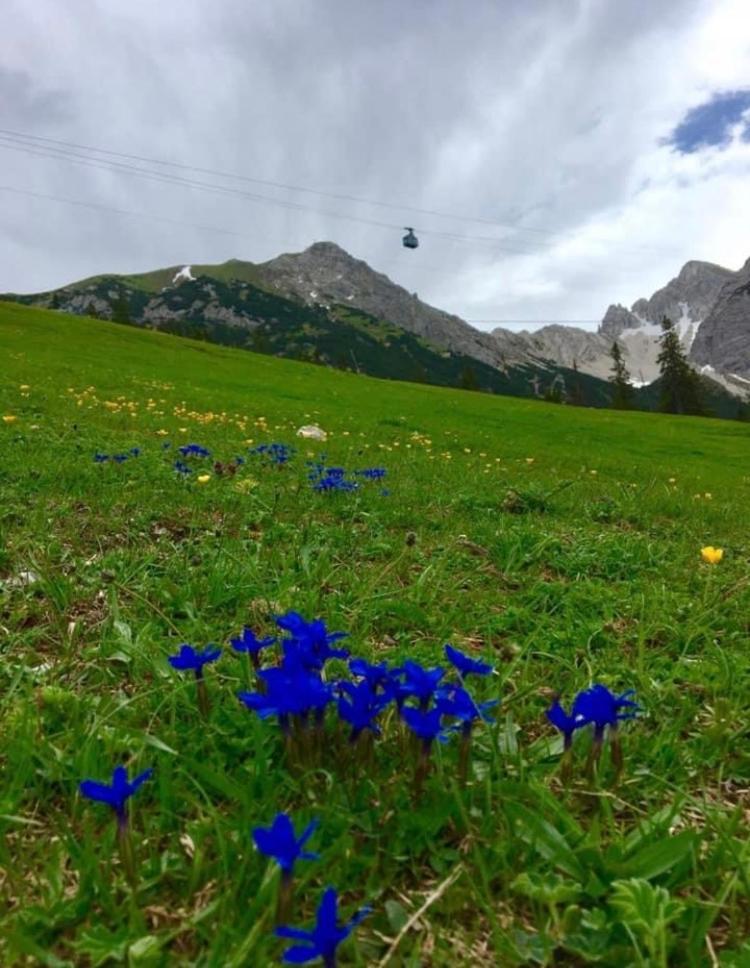 Relax Seefeld Apartman Seefeld in Tirol Dış mekan fotoğraf